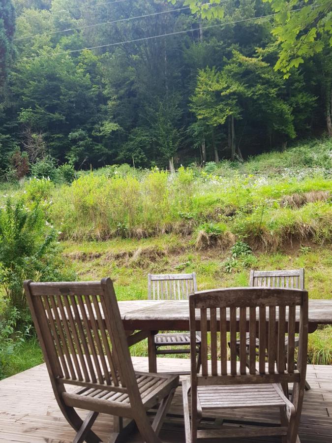 Appartement Cosy Calme A L'Oree Du Bois Cornimont Bagian luar foto